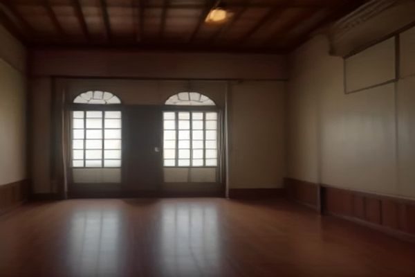 老式建筑教室内两位年轻学生并排坐着专注听课，阳光透过窗户洒在课桌上，画面怀旧宁静